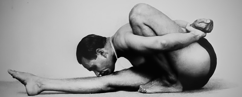 Yoga Dham Iyengar Yoga Center 