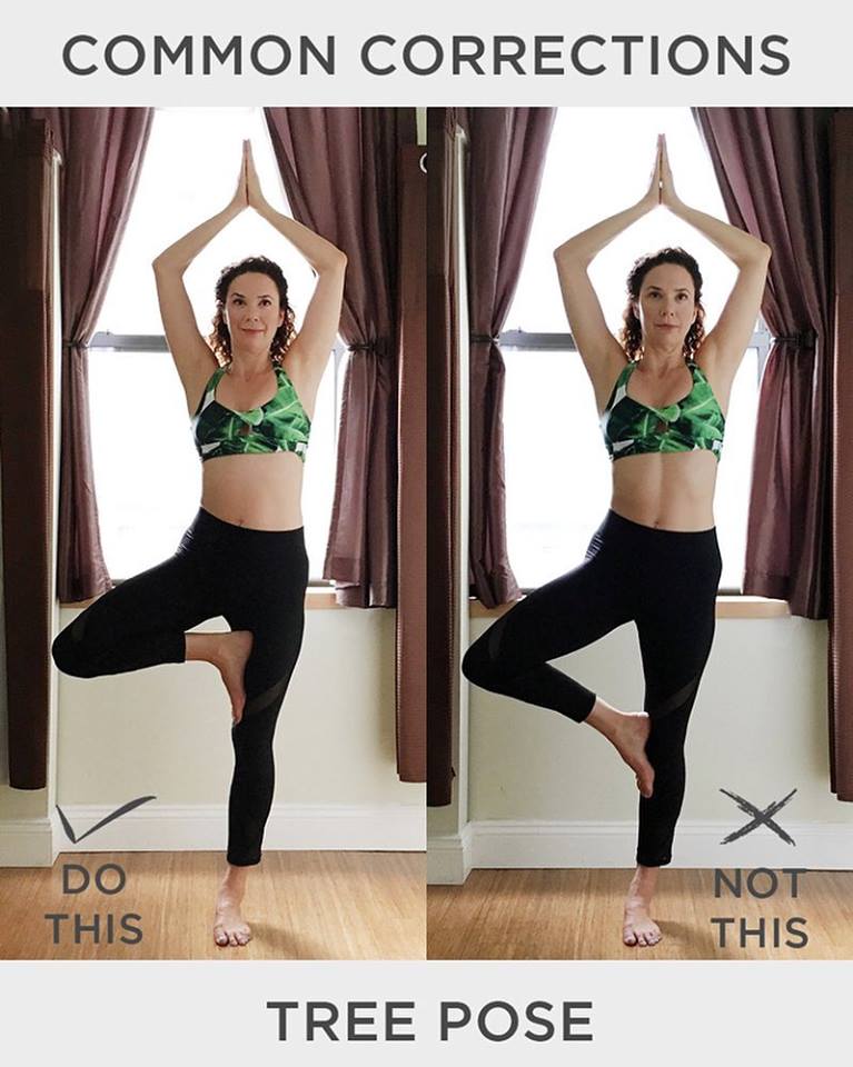 Yoga Vida Studio