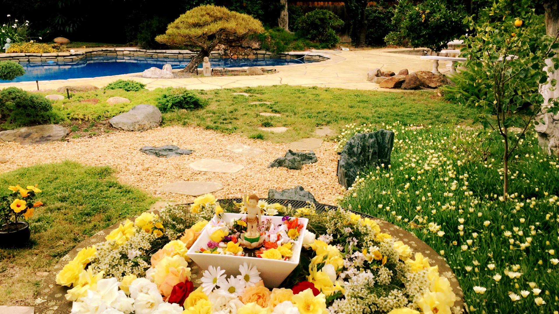 Zen Meditation Center Beginner's Mind