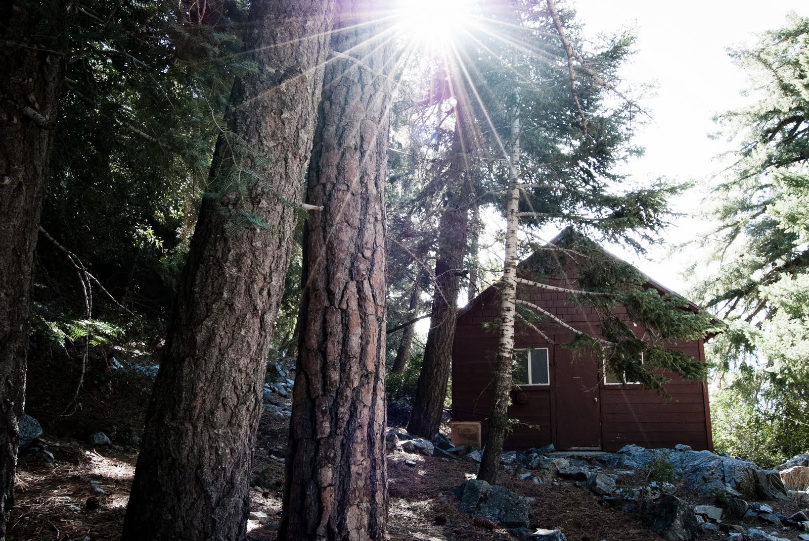  Mount Baldy