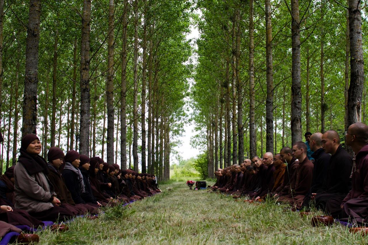 Zen Meditation Center Plum Village 