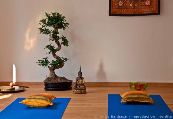 Actem Yoga Hathayoga Strasbourg