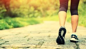 Adya Yoga And Ayurveda 