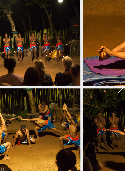Ahimsa Ayurvedic Garden Retreats Kottayam