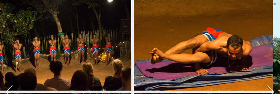 Ahimsa Ayurvedic Garden Retreats 