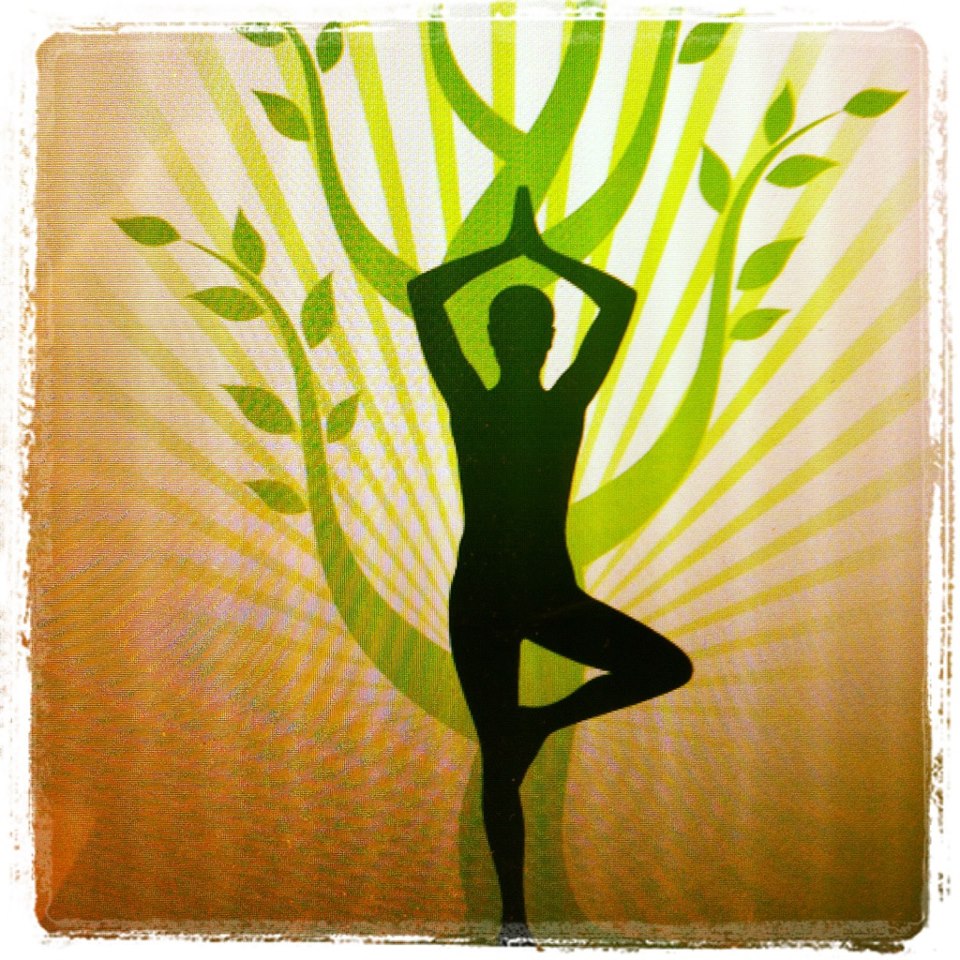 Amala Ayurvedic Hospital And Research Centre