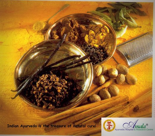 Amala Ayurvedic Hospital And Research Centre 