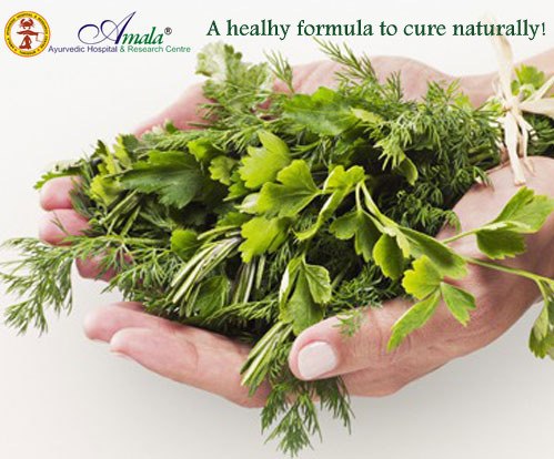 Amala Ayurvedic Hospital And Research Centre 