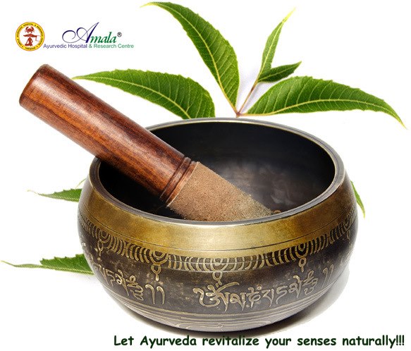 Amala Ayurvedic Hospital And Research Centre