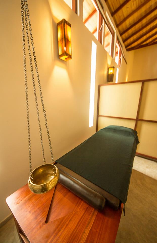 Amba Ayurveda Boutique Hotel Balancegurus - 