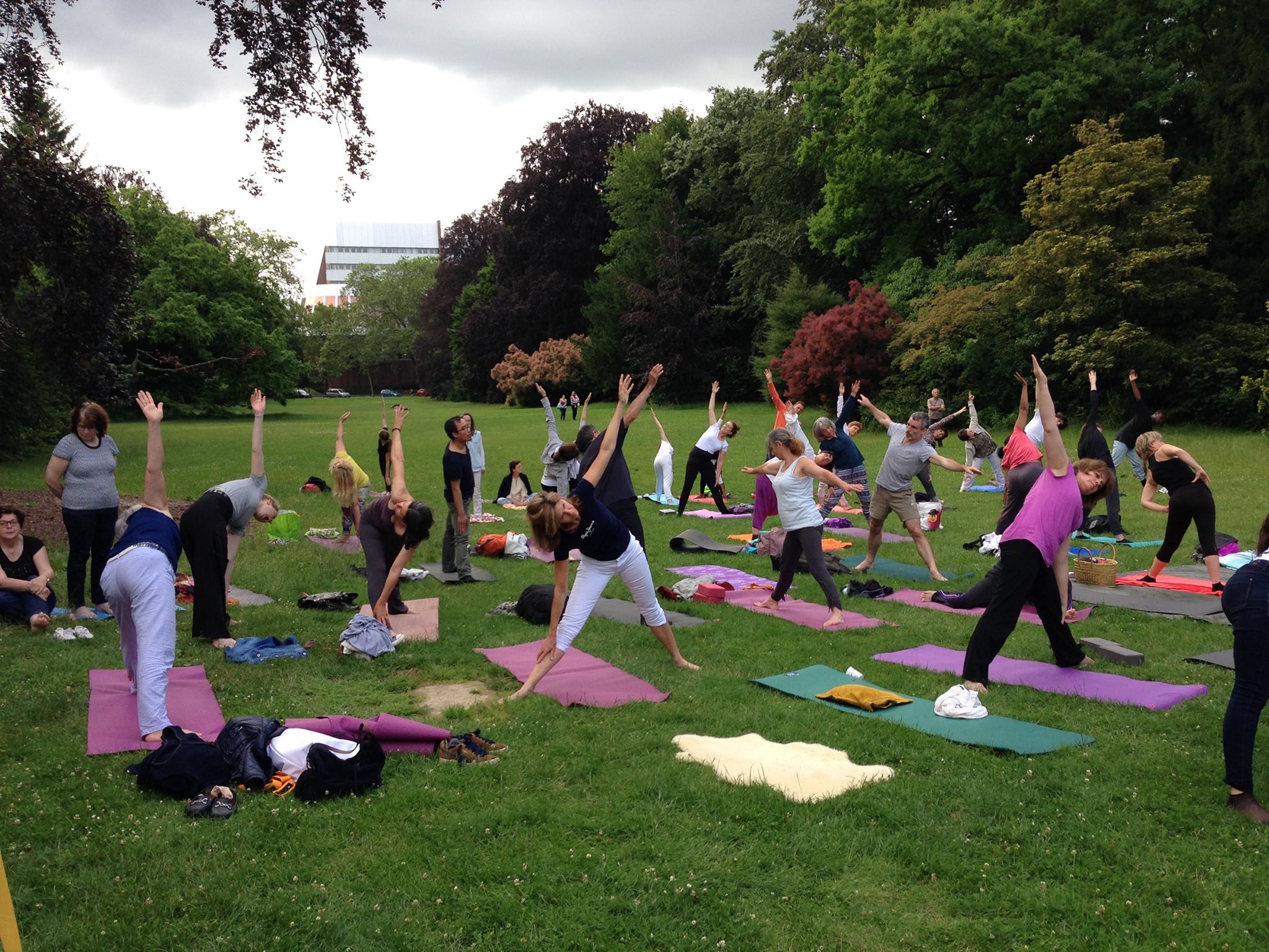Attitude Yoga - Yoga Association 
