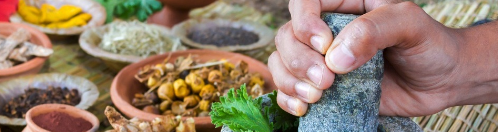 Auraveda Wellness Ayurvedic Center Delhi
