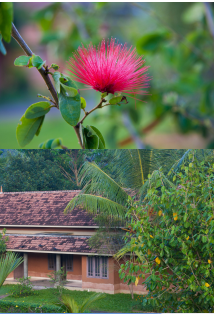  Thiruvananthapuram
