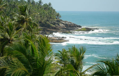 Ayurbay Ayurvedic Beach Resort India