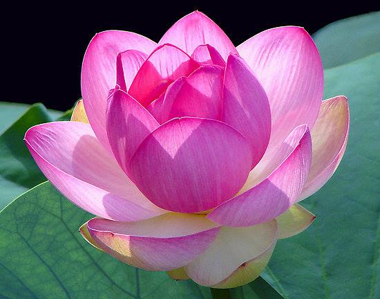 Ayurveda And Yoga Wellness Center Kanyakumari Glendale