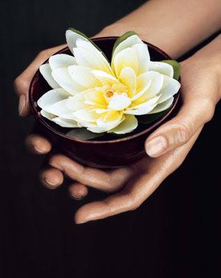 Ayurveda Paragon 