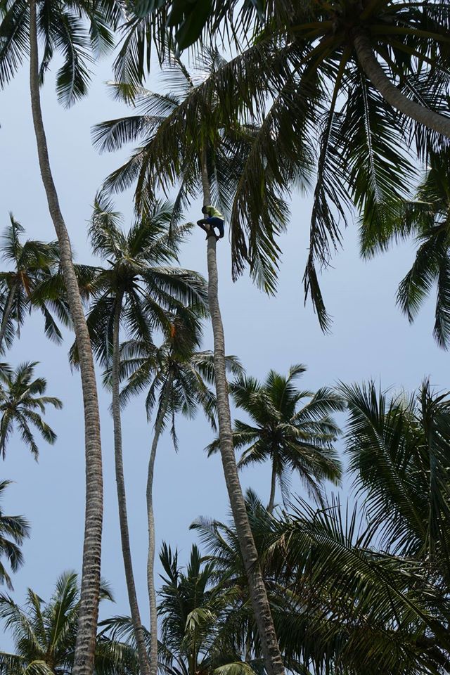  Sri Lanka