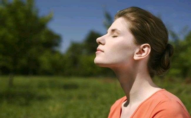 Ayurveda Pura Health And Wellness Spa 