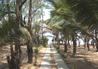 Ayurvedic Natural Health Center 