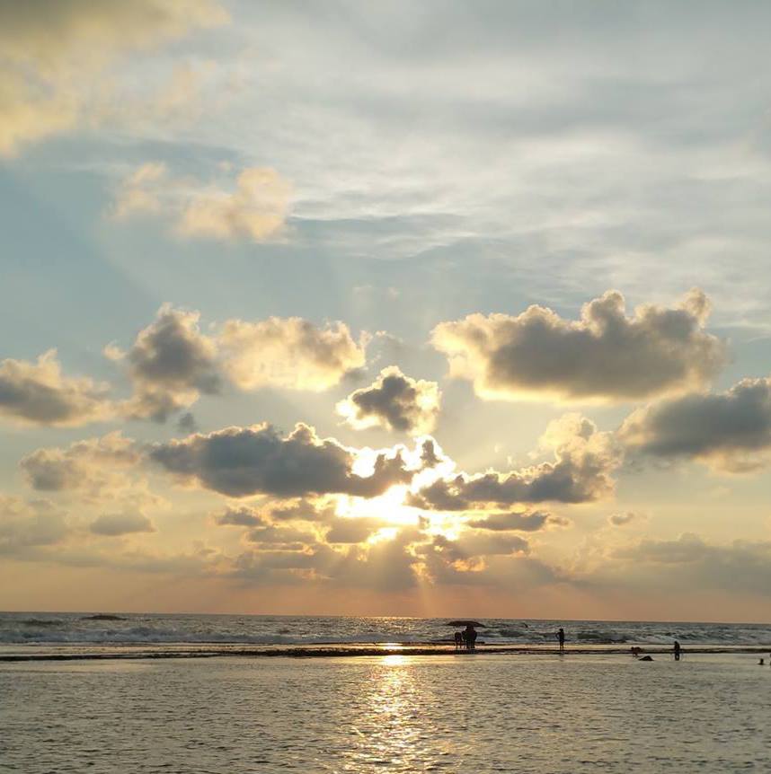 Barberyn Ayurveda Resorts Reef Hotel 