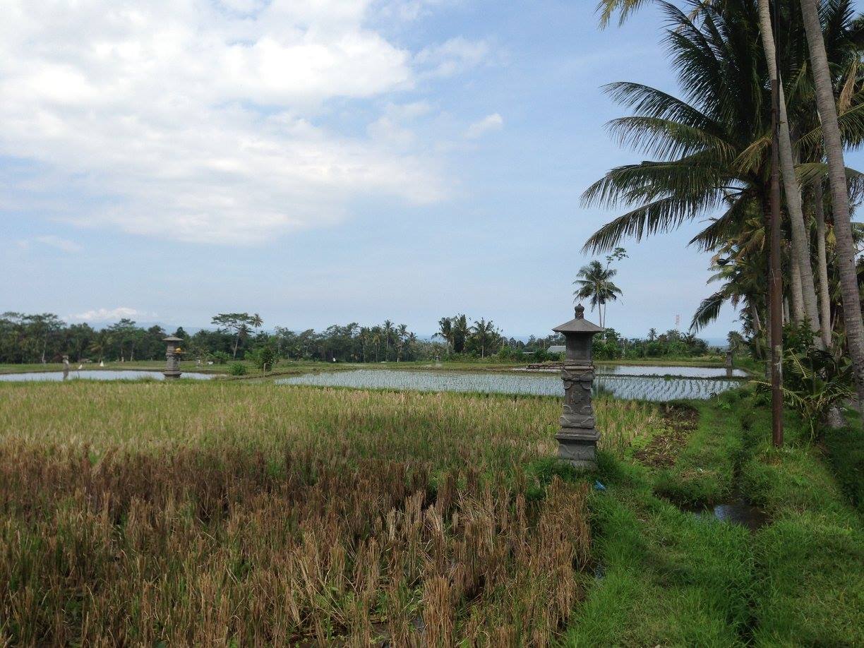Barefoot Spirit Ayurveda And Yoga Center