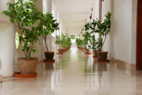 Bethsaida Hermitage Ayurveda Beach Resort India