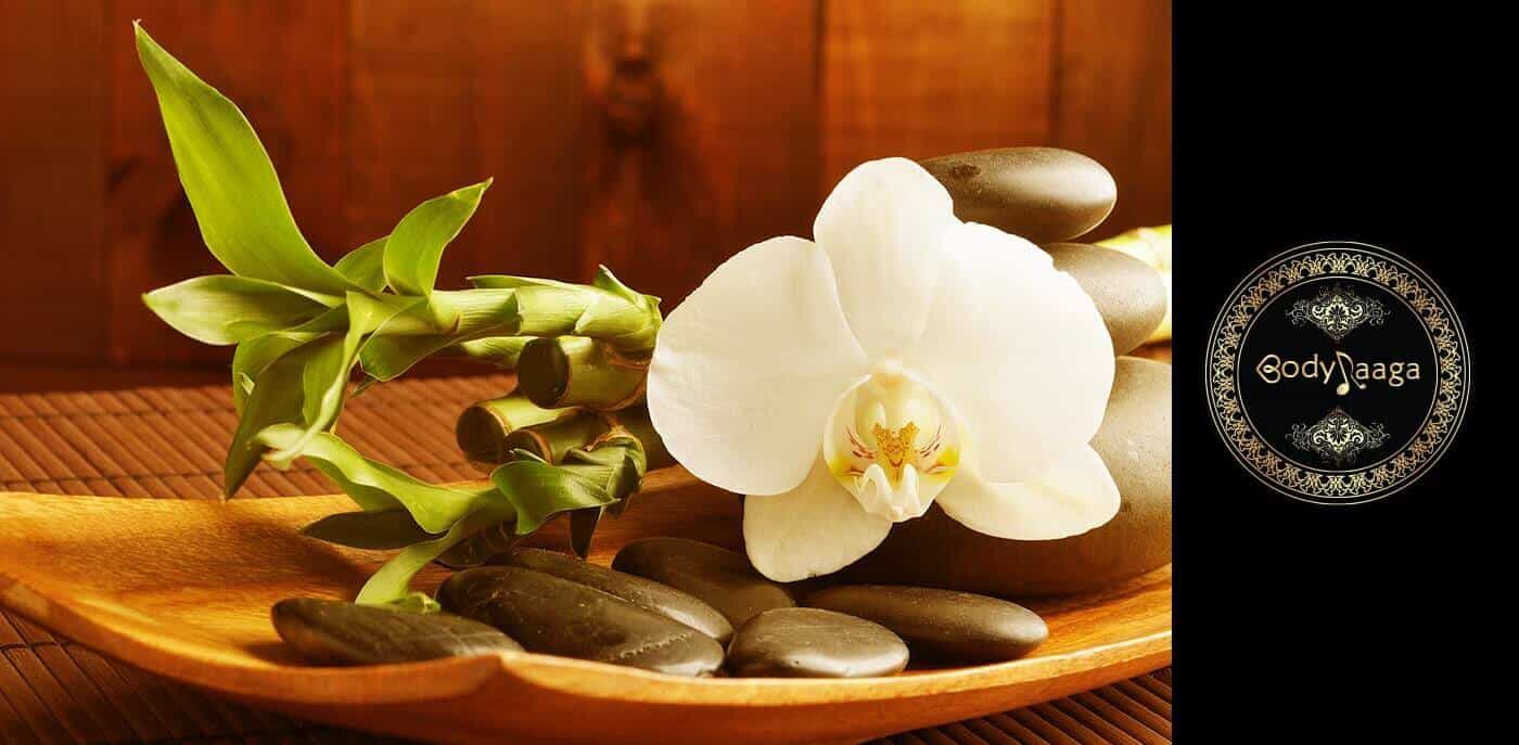 Body Raga Ayurveda Wellness Spa Center