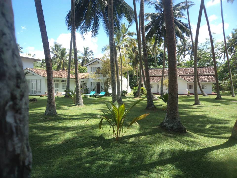  Galle