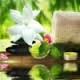 Dhanvantri Ayurveda Clinic And Panchakarma Center India