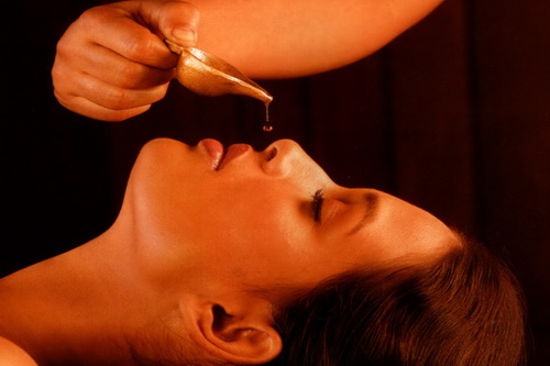 Dr. Rao's Ayurveda Sanctuary Udupi