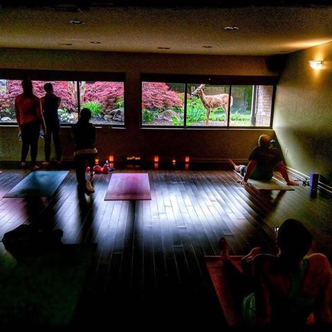 Empower's Power Yoga Center United States