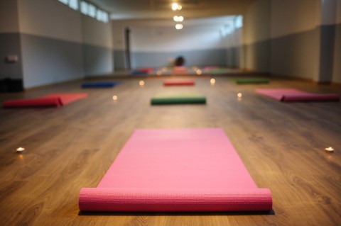 Fédération Française De Hatha Yoga