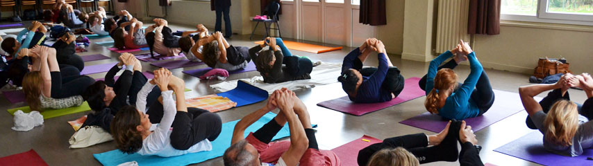 Fédération Française De Hatha Yoga 