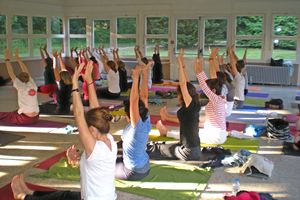 Fédération Française De Hatha Yoga Paris