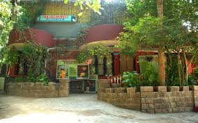 Guruprakash Ayurvedic Center 