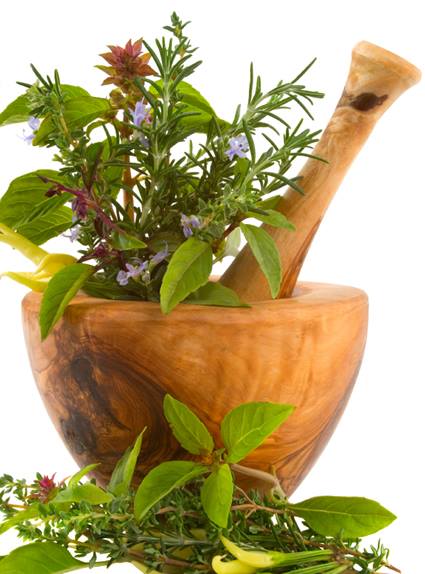 Guruprakash Ayurvedic Center India