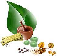 Guruprakash Ayurvedic Center 