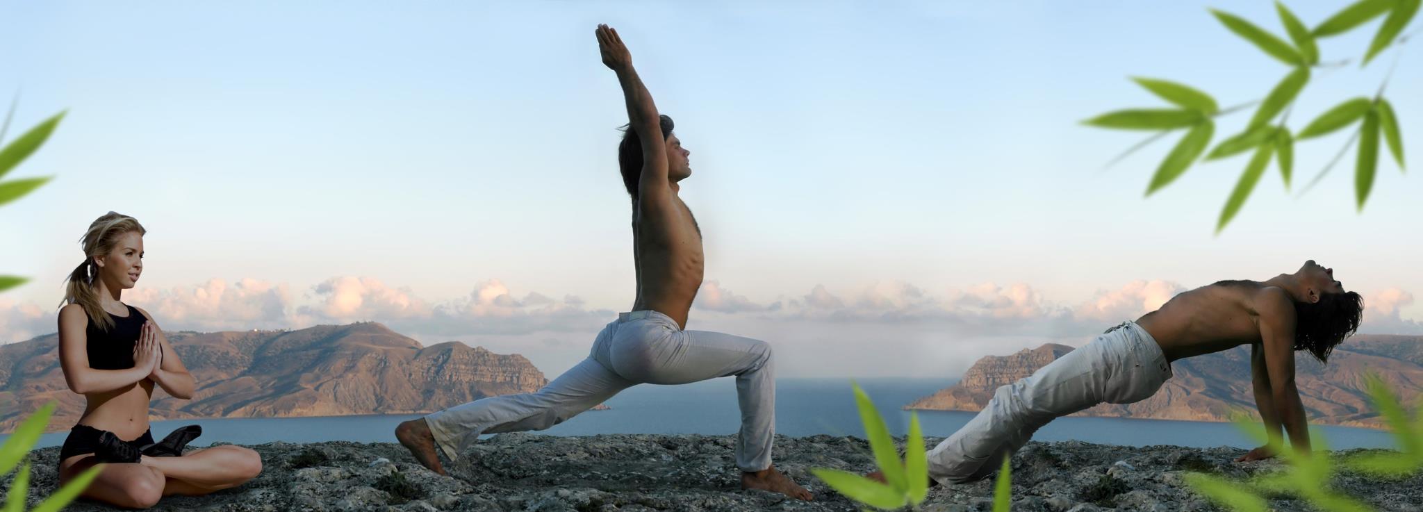 Himayoga Center 