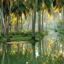  Trivandrum