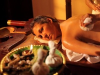 Kunnathur Mana Ayurveda Heritage Resort 