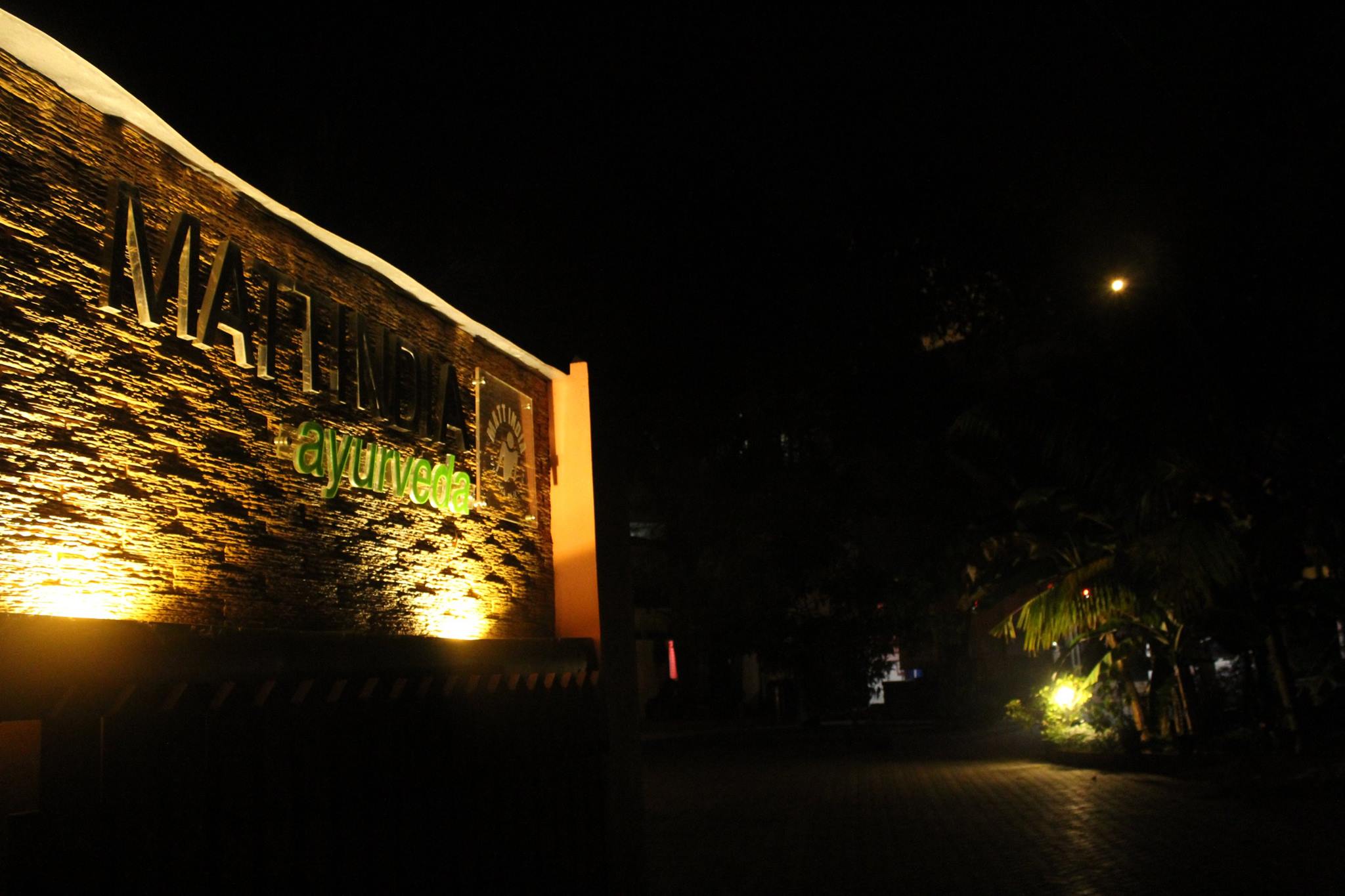  Alappuzha