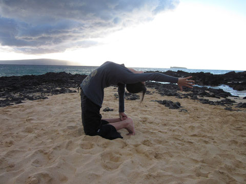 Maya Barnard Yoga Studio 