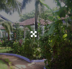Nagarjuna Ayurveda Clinic & Panchakarma Center