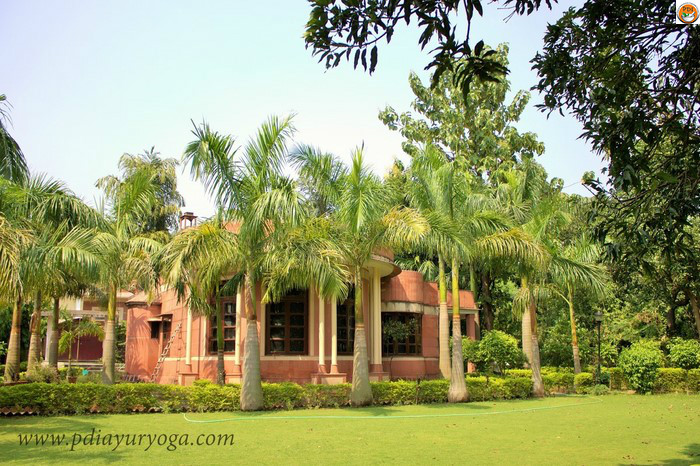 Pdi - Ayurveda Yoga And Panchakarma Center Rishikesh