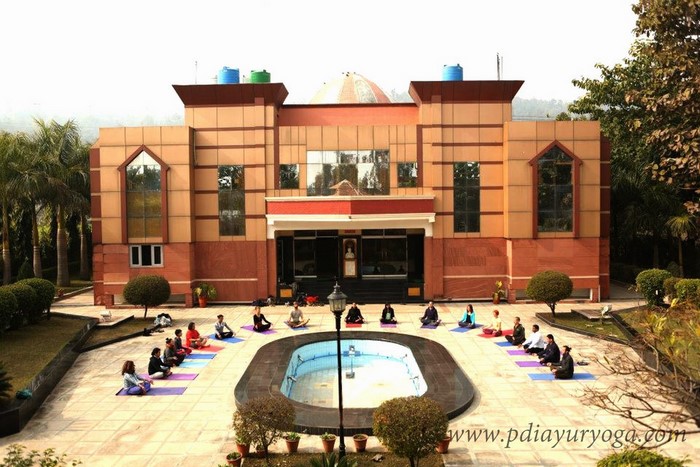 Pdi - Ayurveda Yoga And Panchakarma Center 