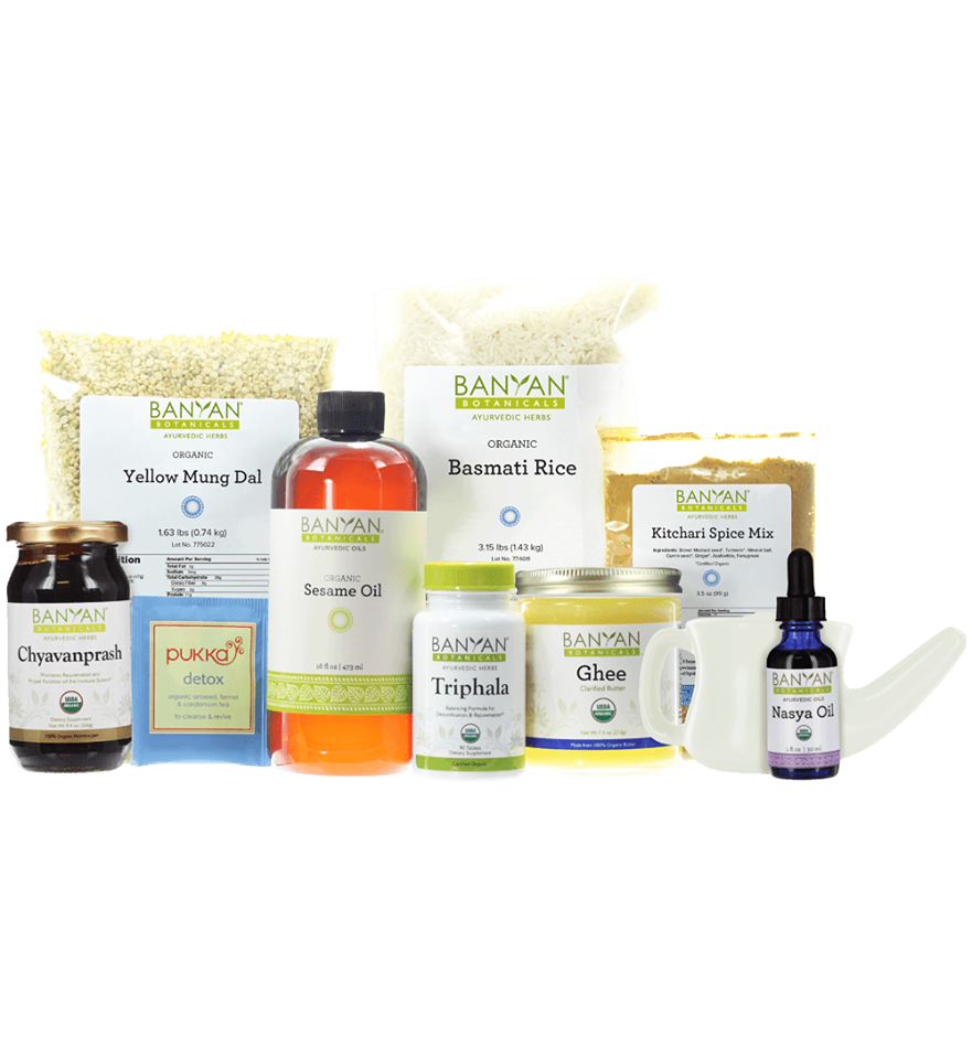 Pranaa Ayurveda Spa And Yoga Center Plano