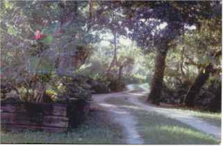 Rasayana Cove Ayurvedic Retreat