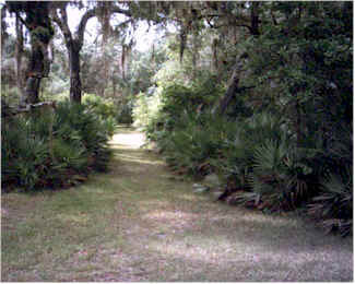 Rasayana Cove Ayurvedic Retreat United States