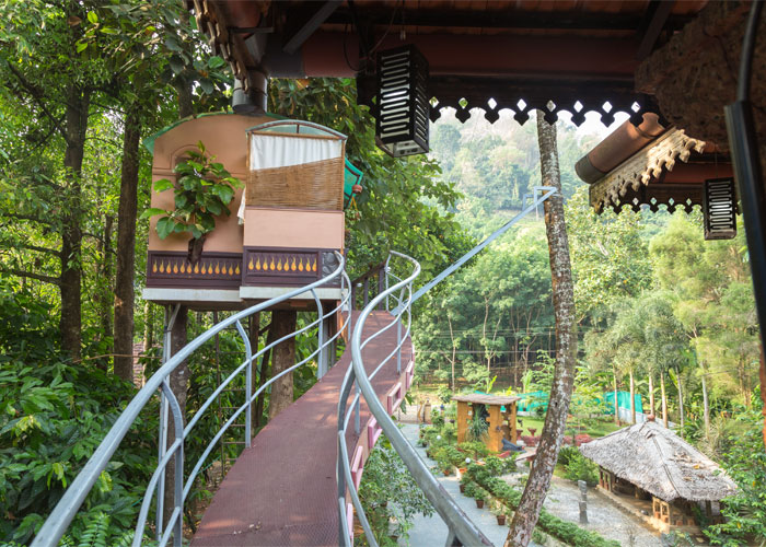 Reminiscence Ayurcare Yoga Retreat 
