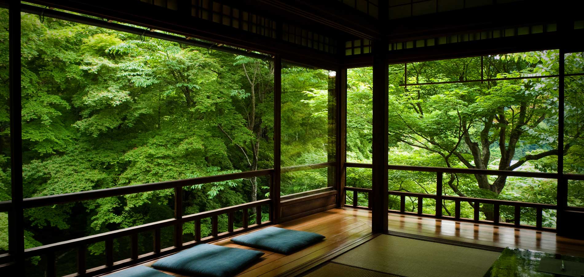 Reminiscence Ayurcare Yoga Retreat 